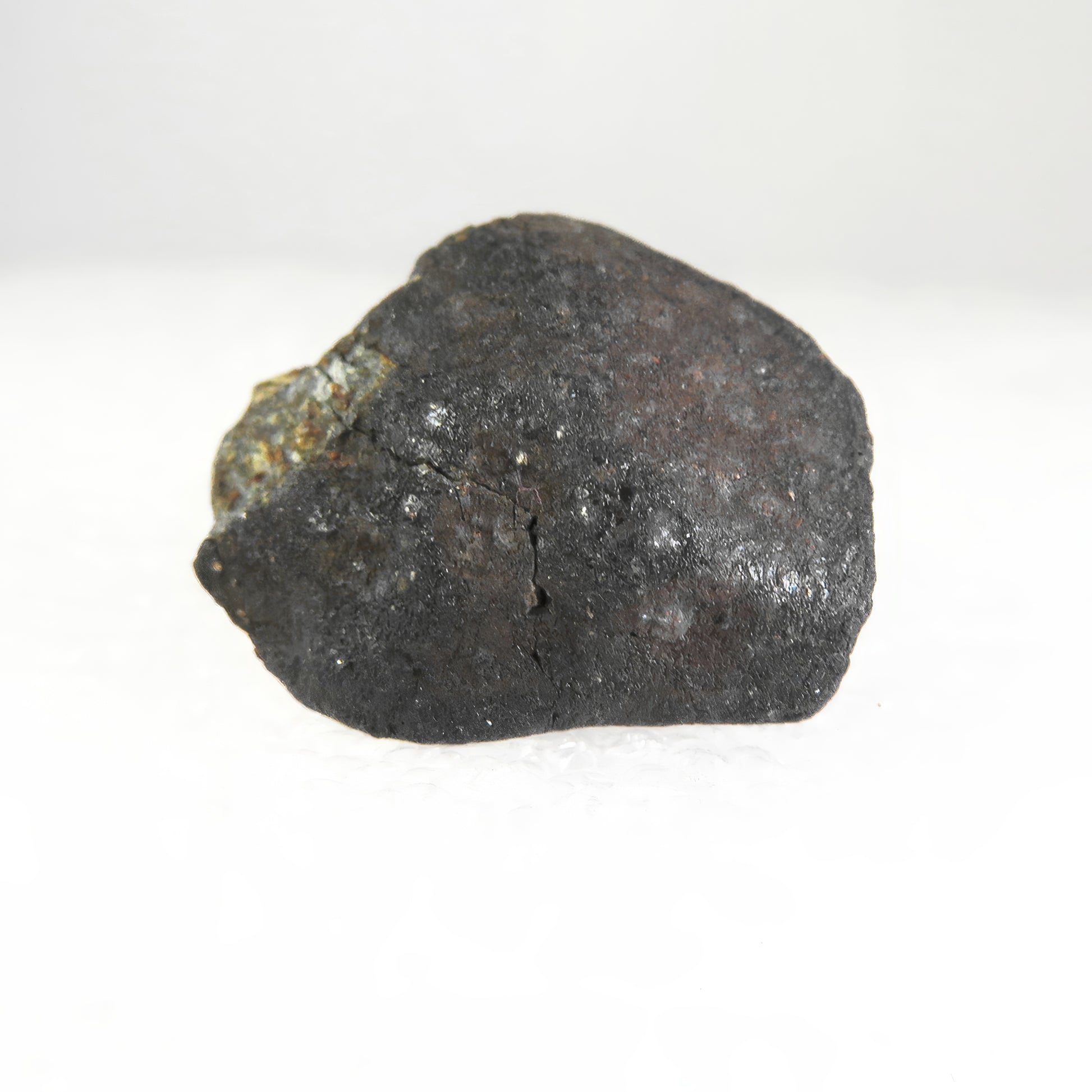 Witness of the Universe - Oum Dreyga Meteorite