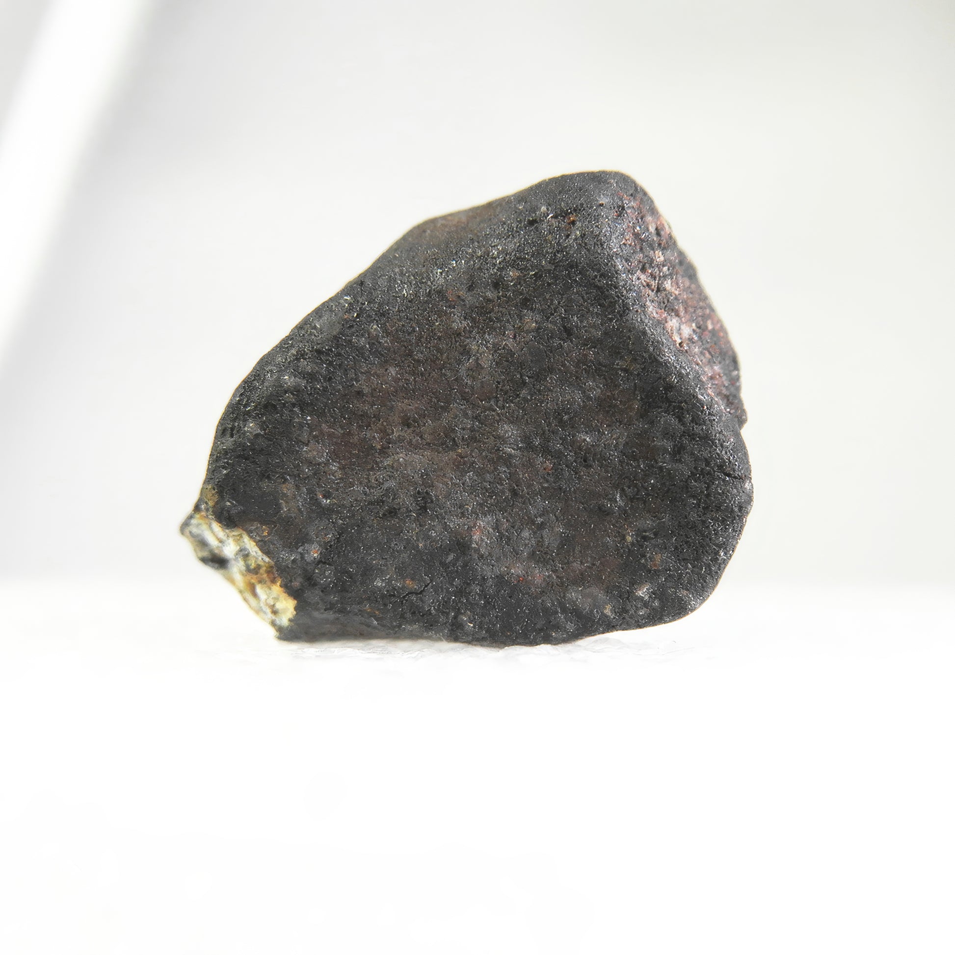 Witness of the Universe - Oum Dreyga Meteorite