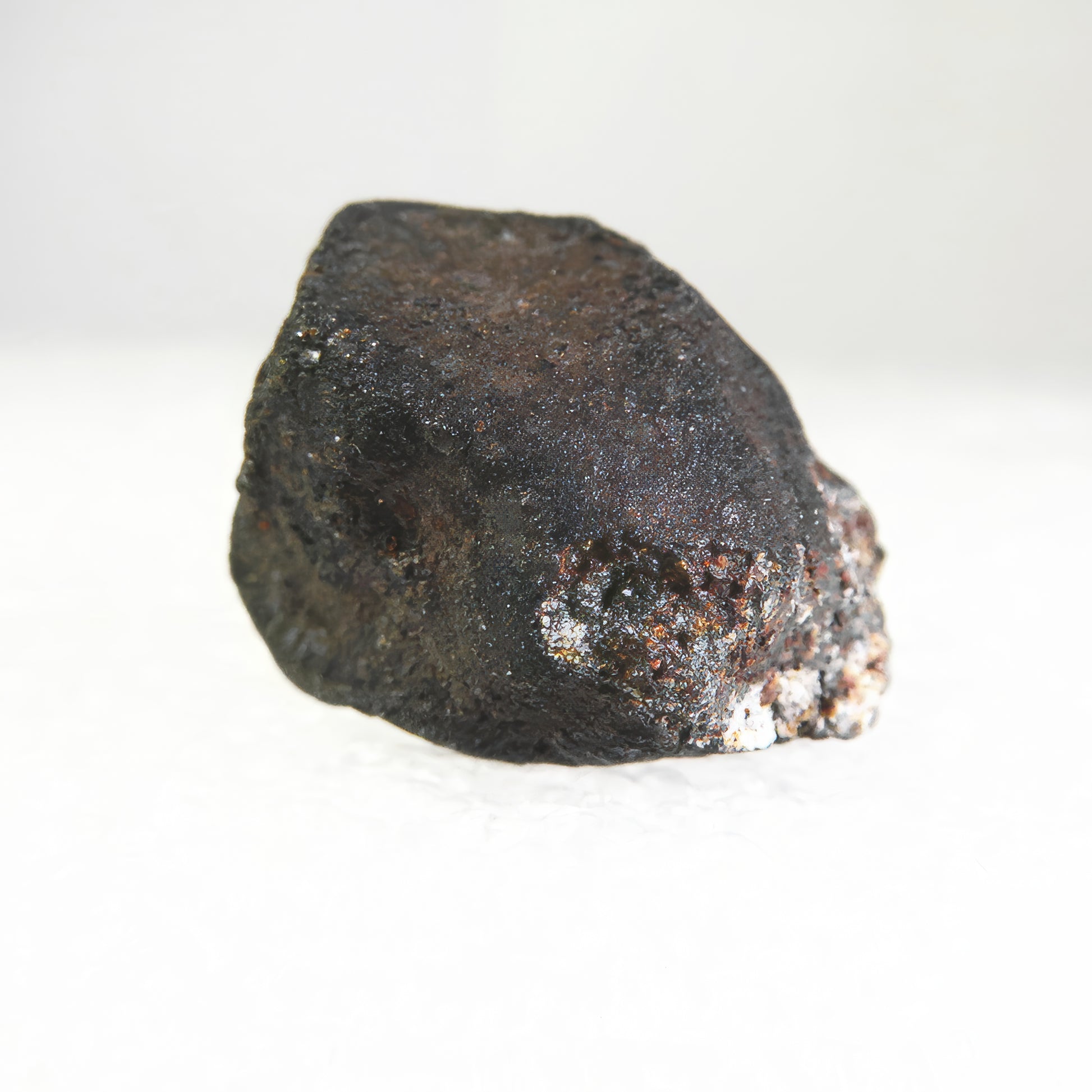 Witness of the Universe - Oum Dreyga Meteorite